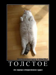 Смешные фотомемы