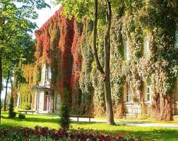 Это просто Гродно !!! БЕЛАРУСЬ!!!