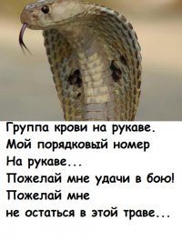 Несуществующая группа крови