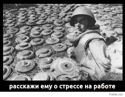 Жизнь в офисе 