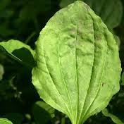 Они просто не знают что такое: