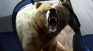 Выглядывая из палатки