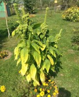 Даже запах почуствовал.