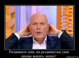 Всю страну за идиотов держит...