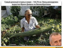 27 товаров для тех, кто просто одержим огурцами 