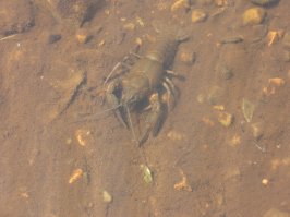 Тверская область, Места атас