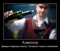 8 фактов об алкоголе