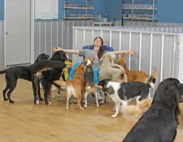 Утро сильной независимой женщины.