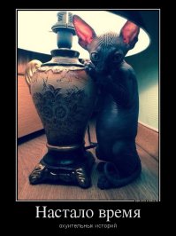 Идеальная месть