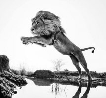 32 черно-белые фотографии, которые цвет только испортит