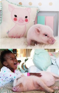 Ложишься спать?
Помни - придет серенький волчок и укусит за бочек!