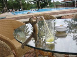 Я помню чудное мгновенье... сказал этот фотоаппарат