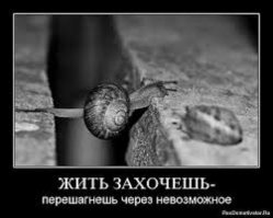 Мигранты пытались попасть в Европу, спрятавшись под капотом автомобиля