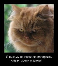 Не портите славу моего туалета!