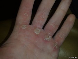 14 способов, которые помогут "накачать" ваш мозг