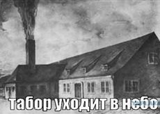 Как я в магазин сходил, Мигранты, добро пожаловать в наш дом