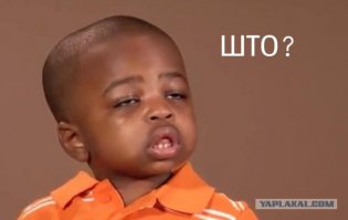 докторскую колбасу?