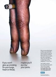 Как восстанавливается организм только что бросившего курить