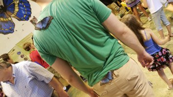 Бабочки в моём животе - это любовь к тебе
Не спрятаться, не скрыться
Бабочки в моей голове - это после любви
Если так случится
На спине моей – это к чертям
От них не укрыться, 
А в жопу лезут ко мне   
(помогайте)