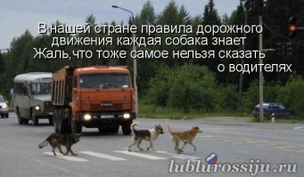 Автоприколы