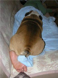 А не показалось ли мне?