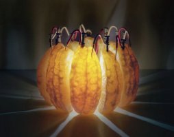 Почему в наших розетках - 220 вольт?