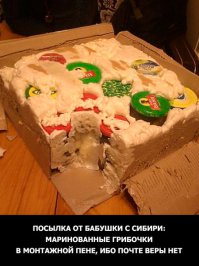 Британский фотограф снимала содержимое посылок, которые отправляли солдатам 