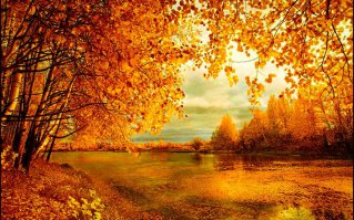 Золотая осень прекрасна!
        *  *  *
Листья золотые, падают, летят,
Листья золотые устилают сад.
Много на дорожках листьев золотых,
Мы букет хороший сделаем из них,
Мы букет поставим посреди стола,
Осень золотая в гости к нам пришла.
                        Е.Благинина