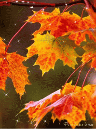 Золотая осень прекрасна!
        *  *  *
Листья золотые, падают, летят,
Листья золотые устилают сад.
Много на дорожках листьев золотых,
Мы букет хороший сделаем из них,
Мы букет поставим посреди стола,
Осень золотая в гости к нам пришла.
                        Е.Благинина