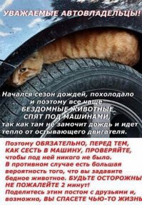 Автоприколы