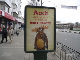 Спасение годовалого лося