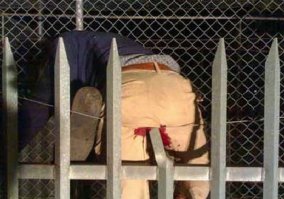 За руль в 14 лет можно,  если папа топ-менеджер