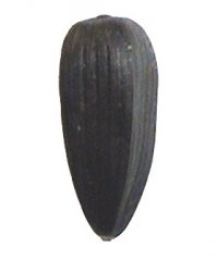 вот макро семка