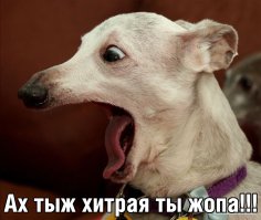 Пенсионерка стала жертвой юного карманника