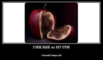 Перепись дебилов проведена