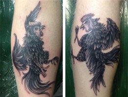 какого полёта?
петухи равно как и курицы, не летают!!!