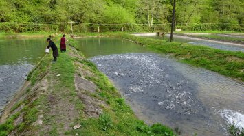 В Абхазии. Тоже вода "кипит". )