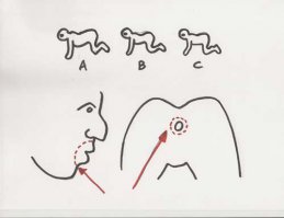 человеческая многоножка