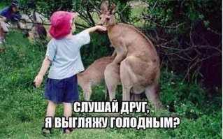 Национальные особенности австралийцев