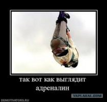 Я помню чудное мгновенье... сказал этот фотоаппарат