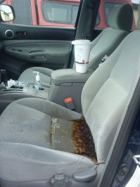 Сука до слёз