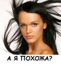 Енот пьет молоко