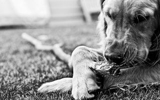 мне тоже можете не верить.. но это мои рисунки карандашом.. еще свежие..