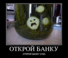 Котенок и банка 