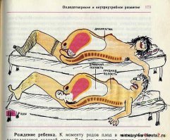 Учебники, по которым мы учились