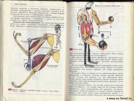 Нате вам немножка учебничкафф