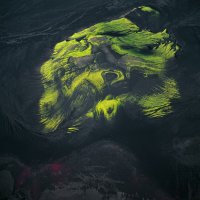 похоже на льва, или медведя