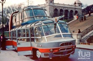 Эти безумные автобусы