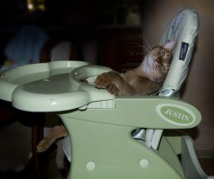 Фотоподборка за 07.09.2015