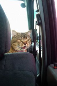 Фотоподборка за 07.09.2015